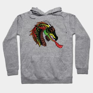 Dragon and Fire Hoodie